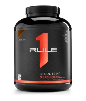 Протеїн R1 R1 Protein