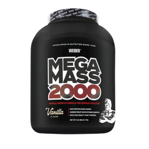 Mega Mass 2000