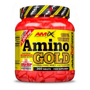 Amix Amino Gold
